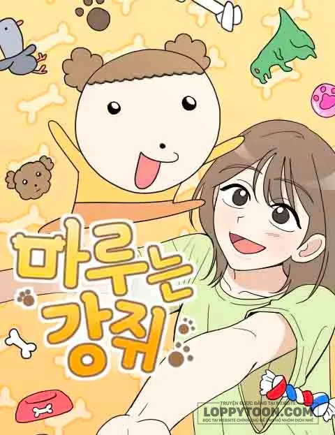 Maru là cún cưng của tôi