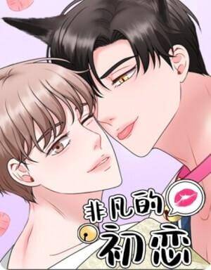 Chàng Mèo Của Tôi