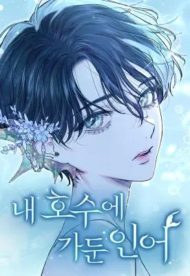 Chàng Tiên Cá Bị Giam Cầm Trong Hồ Nhà Tôi