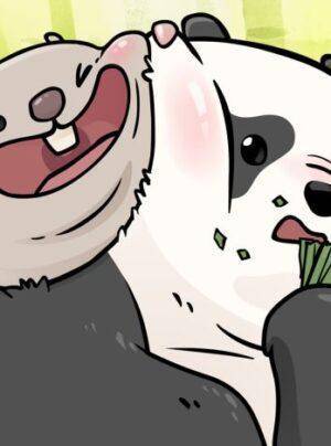 Dúi mốc và gấu trúc