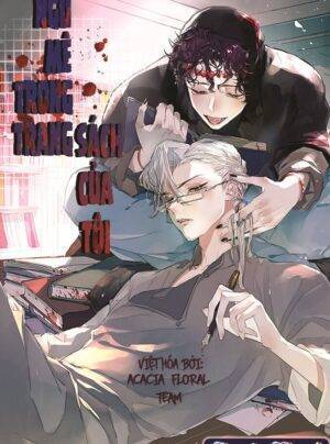 NGỦ MÊ TRONG TRANG SÁCH CỦA TÔI