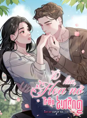 Ô Kìa Hoa Nở Trên Tường