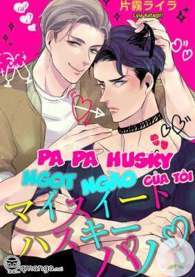 Papa husky ngọt ngào của tôi