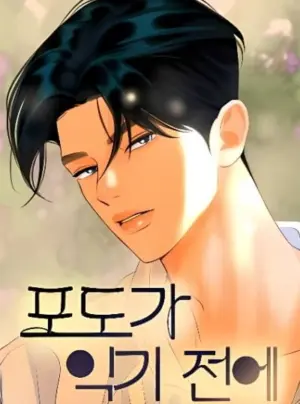 Trước Khi Mùa Nho Chín